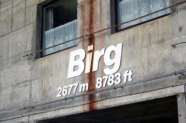 07050347birg.jpg